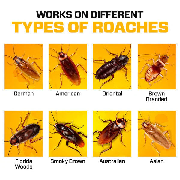 Cockroach Killer Gel (Limited Time Offer)