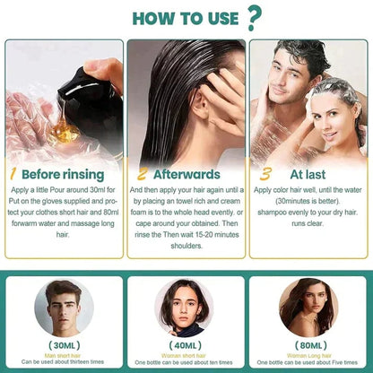 BLOSDREAM Black Hair Dye Shampoo (Buy 1 Get 1 Free)
