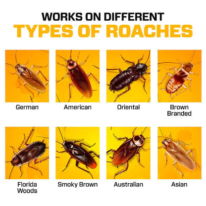 Cockroach Killer Gel (Limited Time Offer)
